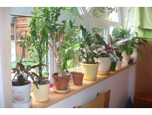 ����� �������.JPG