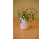 ���������� �������� (�����).JPG