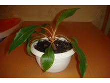 ���������� ������.JPG