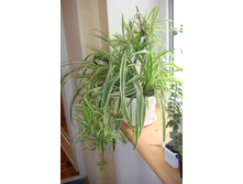 ���������� � ������� ���������.JPG