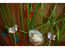 ������� (1).JPG