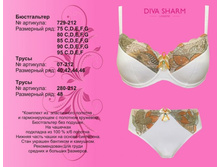 950 �. ���� ����������� + 450 �. �������