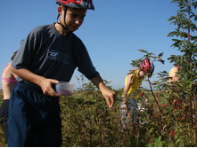 ����������� ��������