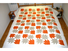 ��������� \"�������� ����\"