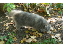 �����, ���������� � ������ �����