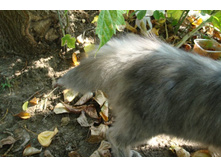 ��� �� ����������� ���� - ��� ��� ������!)))