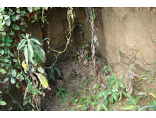 � ���������� ������ �������� ����