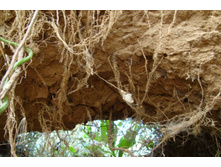 ������ ��������� ��������� ��������� ��� ����� �����