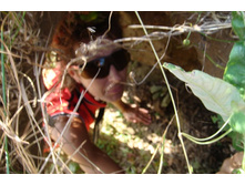 ���� ������