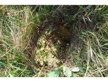 �� ��� ����!