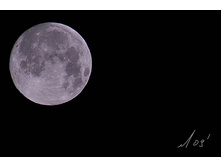 ������ 4