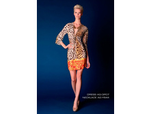 AG-DP07 ������.jpg