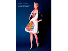 AG-DP17 ������.jpg