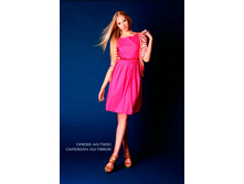 AG-T950 ������.jpg