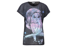 �������� ���. 1050408513