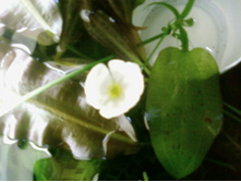 ����� ���������� ���