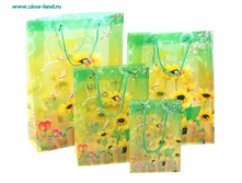 24,90 (����� 4 ��)