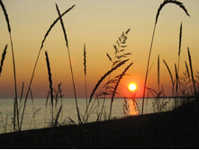 ��������� �����