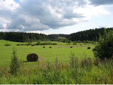 �� ���� � ��������