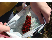 ������ ��������!