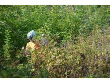 ��������!