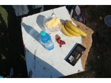 ��������-����������