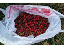 ��� ����� � �������������.