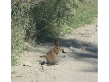 ������ ����� �� �������� :)