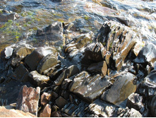 �������