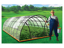 ���� ������� 2528�.