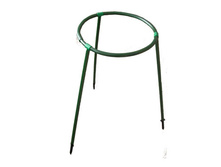 ���� -163�.�������-48, ������-80.