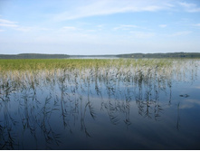 ��������������