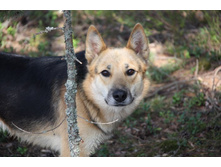 �������������� �� ����� ��� ������� :)