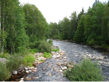 ����� ����� �������