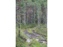 �������-�...