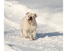 ��� ������ �� �������� 013.JPG