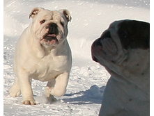 ��� ������ �� �������� 016.JPG