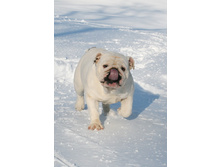 ��� ������ �� �������� 042.JPG