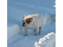 ��� ������ �� �������� 045.JPG