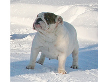 ��� ������ �� �������� 015.JPG