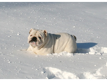 ��� ������ �� �������� 070.JPG