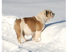 ��� ������ �� �������� 050.JPG