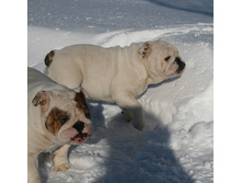 ��� ������ �� �������� 082.JPG