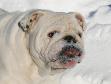 ��� ������ �� �������� 085.JPG