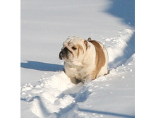 ��� ������ �� �������� 093.JPG