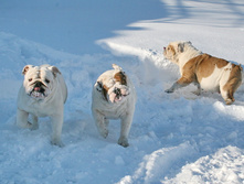 ��� ������ �� �������� 108.JPG