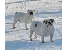 ��� ������ �� �������� 110.JPG