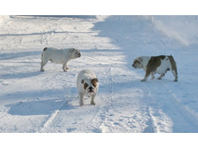 ��� ������ �� �������� 114.JPG