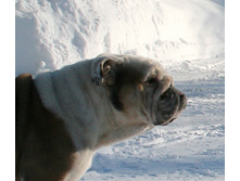 ��� ������ �� �������� 139.JPG