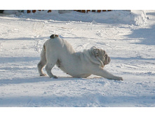 ��� ������ �� �������� 138.JPG